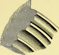 An illustration from A glossary of terms used in Grecian, Roman, Italian, and Gothic architecture (1845)