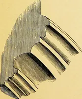 An illustration from A glossary of terms used in Grecian, Roman, Italian, and Gothic architecture (1845)