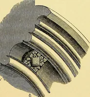 An illustration from A glossary of terms used in Grecian, Roman, Italian, and Gothic architecture (1845)