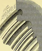 An illustration from A glossary of terms used in Grecian, Roman, Italian, and Gothic architecture (1845)