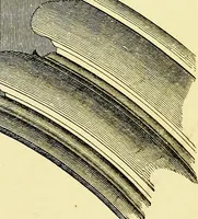 An illustration from A glossary of terms used in Grecian, Roman, Italian, and Gothic architecture (1845)