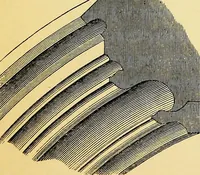 An illustration from A glossary of terms used in Grecian, Roman, Italian, and Gothic architecture (1845)