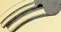 An illustration from A glossary of terms used in Grecian, Roman, Italian, and Gothic architecture (1845)