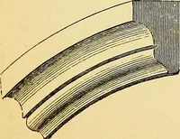 An illustration from A glossary of terms used in Grecian, Roman, Italian, and Gothic architecture (1845)