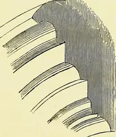 An illustration from A glossary of terms used in Grecian, Roman, Italian, and Gothic architecture (1845)