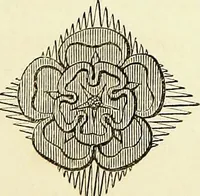 An illustration from A companion to the fourth edition of A glossary of terms used in Grecian, Roman, Italian, and Gothic architecture (1846)
