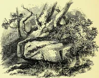 An illustration from A book of memories of great men and women of the age, from personal acquaintance (1877)