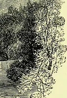 An illustration from A book of memories of great men and women of the age, from personal acquaintance (1877)