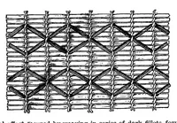 Picture 11 of 18 from A study of the textile art in its relation to the development of form and ornament (1888), leaf 48