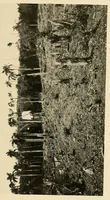 An illustration from Cuba before Columbus (1921)