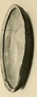 Picture 5 of 18 from Cuba before Columbus (1921), leaf 101