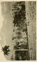 An illustration from Cuba before Columbus (1921)