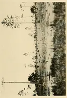 An illustration from Cuba before Columbus (1921)