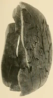 Picture 16 of 18 from Cuba before Columbus (1921), leaf 267