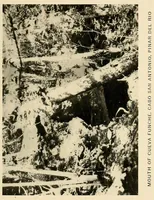 Picture 17 of 18 from Cuba before Columbus (1921), leaf 299