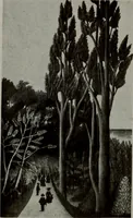 An illustration from Cubists and Post-impressionism (1919)