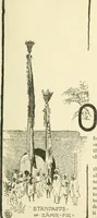 Picture 8 of 42 from Cults, customs and superstitions of India. Rev. and enl. ed. With illus. from photographs and from drawings by William Campbell Oman (1908), leaf 105