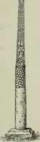 An illustration from Cumberland and Westmorland (1913)