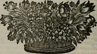 An illustration from Cupidoos mengelwerken, of, Minnespiegel der deugden : bestaande uit stightelyke zinnebeelden (1728)