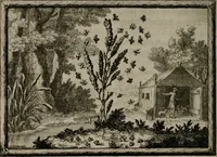 An illustration from Cupidoos mengelwerken, of, Minnespiegel der deugden : bestaande uit stightelyke zinnebeelden (1728)