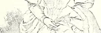 An illustration from The curio : an illustrated monthly magazine (1887)