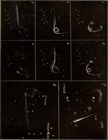 An illustration from Curiosities of the sky, a popular presentation of the great riddles and mysteries of astronomy (1909)