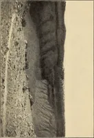 An illustration from Curiosities of the sky, a popular presentation of the great riddles and mysteries of astronomy (1909)