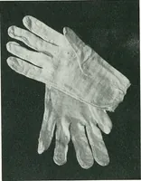 An illustration from Curios and relics. Campaign & patriotic materials (1904)