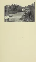An illustration from The curse of Central Africa (1903)