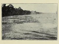An illustration from The curse of Central Africa (1903)