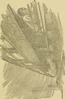 An illustration from The curse of tramp life (1912)