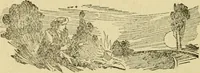 An illustration from The curse of tramp life (1912)