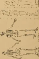 An illustration from The cutters' practical guide to the cutting of ladies' garments.. (1890)
