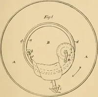 An illustration from Cycling art, energy and locomotion: a series of remarks on the development of bicycles, tricycles, and man-motor carriages (1889)