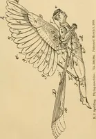 Picture 97 of 99 from Cycling art, energy and locomotion: a series of remarks on the development of bicycles, tricycles, and man-motor carriages (1889), leaf 305