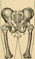 An illustration from Cycling art, energy and locomotion: a series of remarks on the development of bicycles, tricycles, and man-motor carriages (1889)