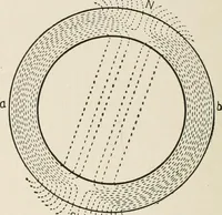 Picture 48 of 428 from Cyclopedia of applied electricity : a general reference work on direct-current generators and motors, storage batteries, electrochemistry, welding, electric wiring, meters, electric lighting, electric railways, power stations, switchboards, power transmission, alternating-current machinery, telegraphy, etc. (1916), leaf 68