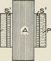 An illustration from Cyclopedia of applied electricity : a general reference work on direct-current generators and motors, storage batteries, electrochemistry, welding, electric wiring, meters, electric lighting, electric railways, power stations, switchboards, power transmission, alternating-current machinery, telegraphy, etc. (1916)