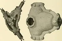 An illustration from Cyclopedia of applied electricity : a general reference work on direct-current generators and motors, storage batteries, electrochemistry, welding, electric wiring, meters, electric lighting, electric railways, power stations, switchboards, power transmission, alternating-current machinery, telegraphy, etc. (1916)