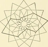 An illustration from Cyclopedia of applied electricity : a general reference work on direct-current generators and motors, storage batteries, electrochemistry, welding, electric wiring, meters, electric lighting, electric railways, power stations, switchboards, power transmission, alternating-current machinery, telegraphy, etc. (1916)