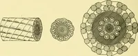 An illustration from Cyclopedia of applied electricity : a general reference work on direct-current generators and motors, storage batteries, electrochemistry, welding, electric wiring, meters, electric lighting, electric railways, power stations, switchboards, power transmission, alternating-current machinery, telegraphy, etc. (1916)