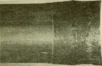 An illustration from Cyclopedia of applied electricity : a general reference work on direct-current generators and motors, storage batteries, electrochemistry, welding, electric wiring, meters, electric lighting, electric railways, power stations, switchboards, power transmission, alternating-current machinery, telegraphy, etc. (1916)