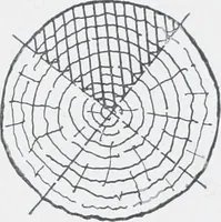 An illustration from Cyclopedia of architecture, carpentry, and building : a general reference work (1912)
