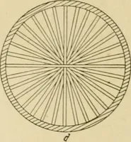 An illustration from Cyclopedia of architecture, carpentry, and building : a general reference work ... (1907)