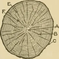 An illustration from Cyclopedia of architecture, carpentry, and building : a general reference work ... (1907)