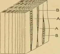 An illustration from Cyclopedia of architecture, carpentry, and building : a general reference work ... (1907)