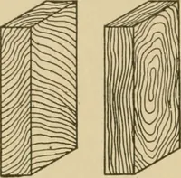 An illustration from Cyclopedia of architecture, carpentry, and building : a general reference work ... (1907)
