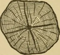 An illustration from Cyclopedia of architecture, carpentry, and building : a general reference work ... (1907)