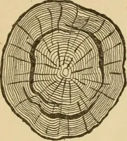 An illustration from Cyclopedia of architecture, carpentry, and building : a general reference work ... (1907)