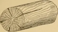 An illustration from Cyclopedia of architecture, carpentry, and building : a general reference work ... (1907)